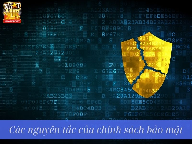 Các nguyên tắc về chính sách bảo mật