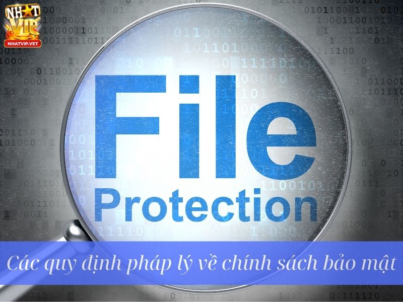 Quyền lợi về chính sách bảo mật